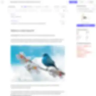 Editor